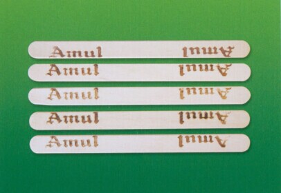 ����ѩ���